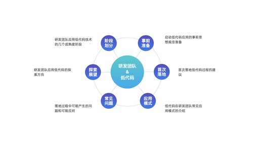 低代碼技術在研發團隊的應用模式探討